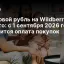 Цифровой рубль на Wildberries, Ozon и Авито: с 1 сентября 2026 года изменится оплата покупок