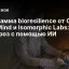 Программа bioresilience от Google DeepMind и Isomorphic Labs: защита от биоугроз с помощью ИИ