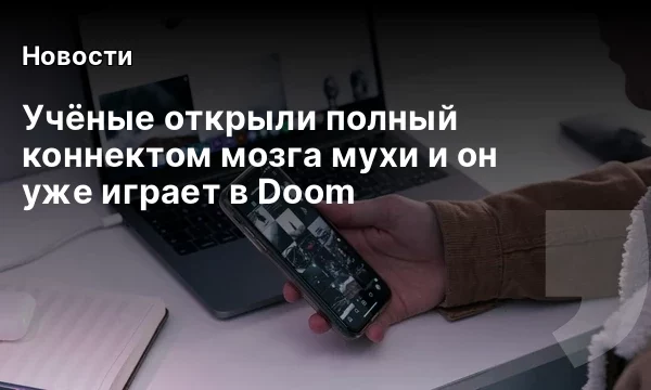 Учёные открыли полный коннектом мозга мухи и он уже играет в Doom
