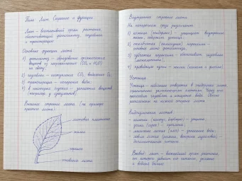 Handwritter Ru Handwritter Ru