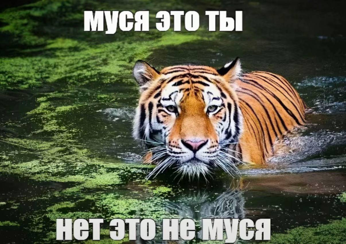 Исходное изображение